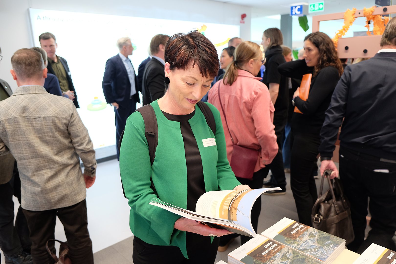 Woman reading a annual report