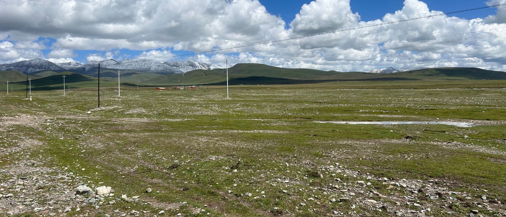Grasslands in the upper reaches of the Huangshui River, Haiyan County, Qinghai Province