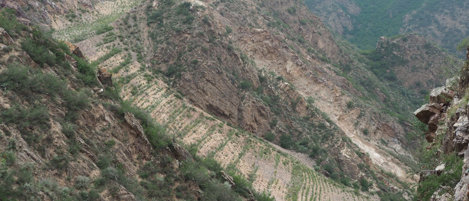 large-scale ecological restoration projects in the area