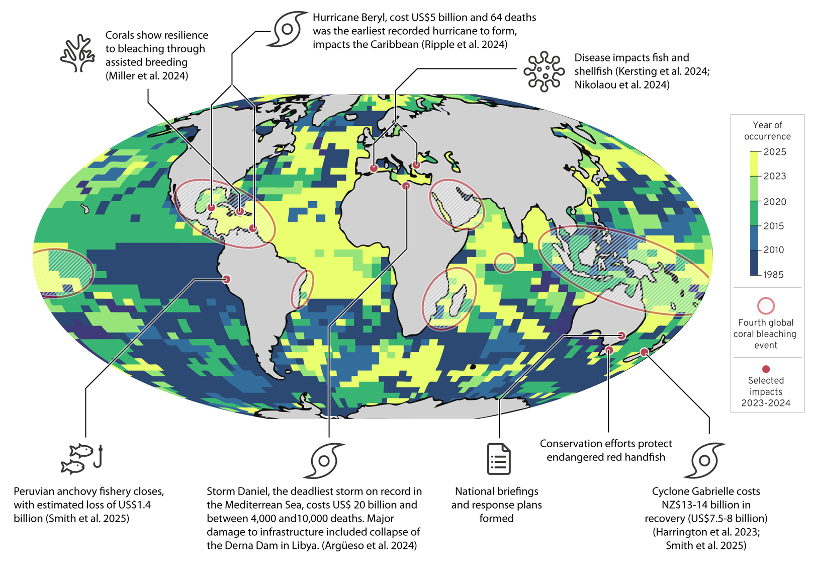 The impacts of the exceptional marine heatwaves in 2023–2024.
