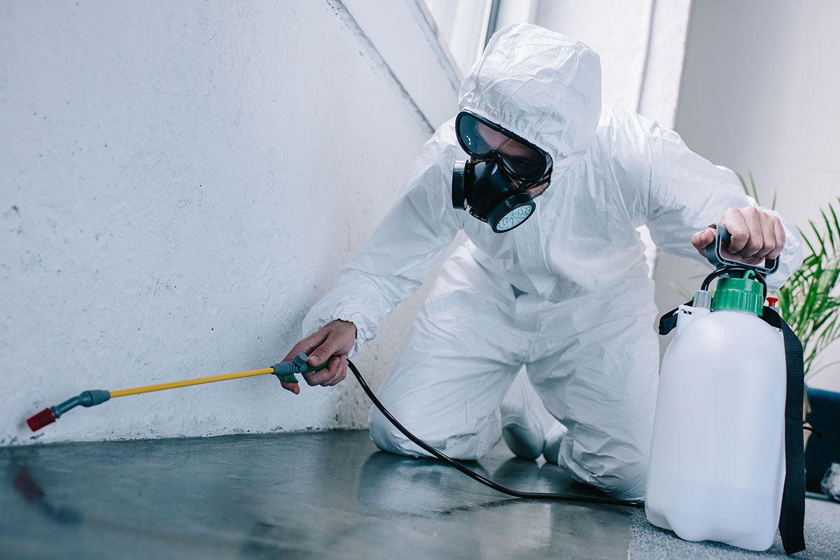 Essential Tips for Hiring a Pest Control Service Provider