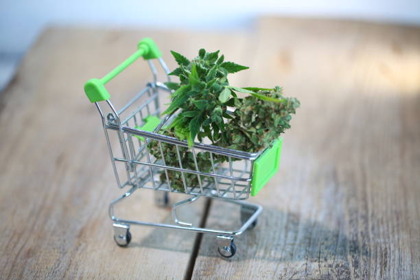 Weed Carts and Sustainability Eco-Friendly Options You Should Try